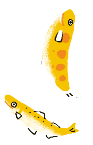河魚